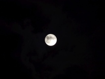 2011 - Night Scenes