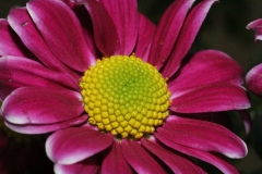 011