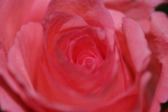 017