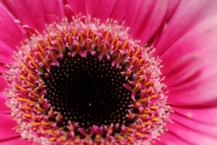 018