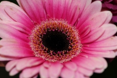 019