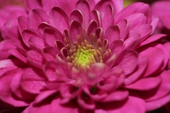 020