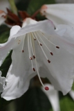 028
