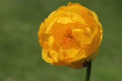 019