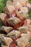038