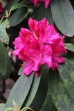 051