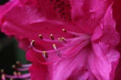 052