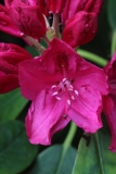053