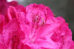 054