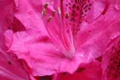 055