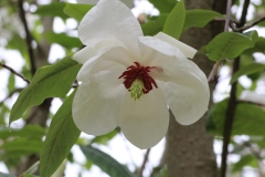 061