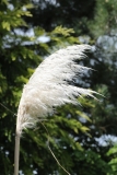 080