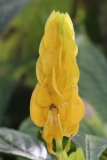 087