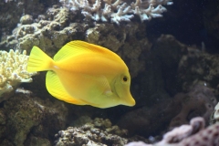 London-Zoo-008