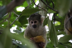 London-Zoo-028