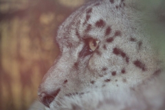 Banham-Zoo-036