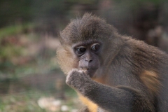 Africa-Alive-025