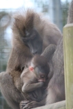 Africa-Alive-026