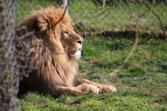 Africa-Alive-048