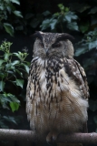 Banham-Zoo-001