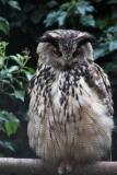 Banham-Zoo-002