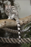 Banham-Zoo-012