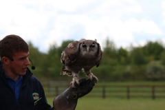 Banham-Zoo-027