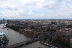 Sealife-London-036