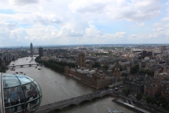 Sealife-London-037