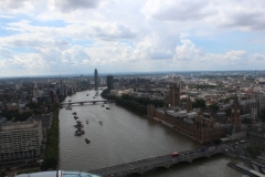 Sealife-London-038