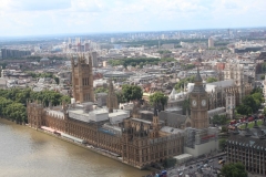 Sealife-London-039