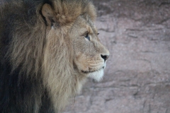 Colchester-060