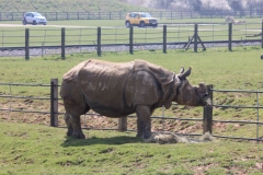 Whipsnade-022