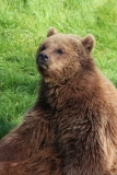 Whipsnade-064