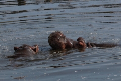 Whipsnade-091