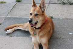 Cody-003