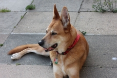 Cody-013
