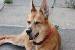 Cody-014