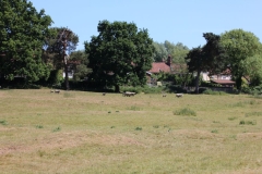 Wymondham-013
