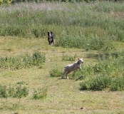 Wymondham-023
