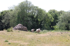 Wymondham-028