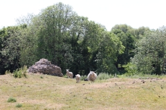 Wymondham-029