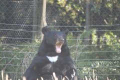 Woburn-010