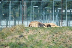 Woburn-014