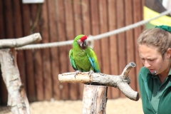 Woburn-025