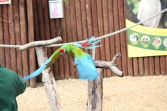 Woburn-026