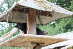 20210814 - Longleat