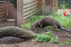 Longleat-004