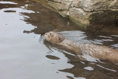 Longleat-008