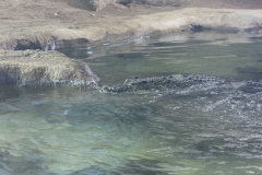 Longleat-010